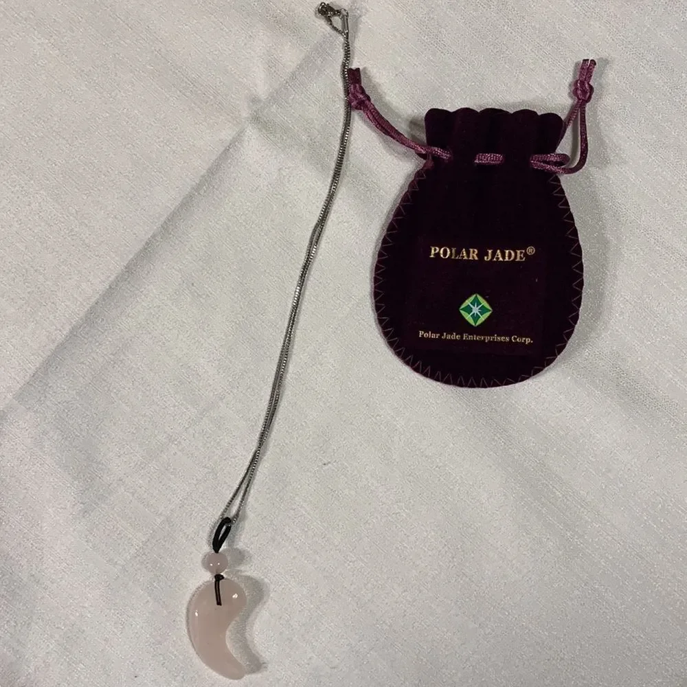Polar Jade silvertone angel wing necklace. NWT